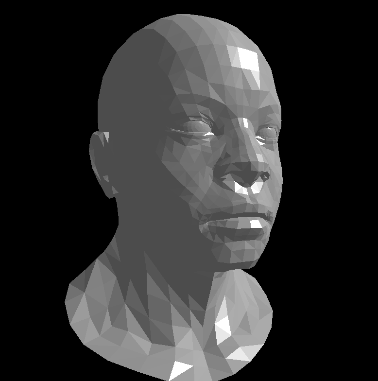 Software Rendering Engine — Human head flat shaded geometry